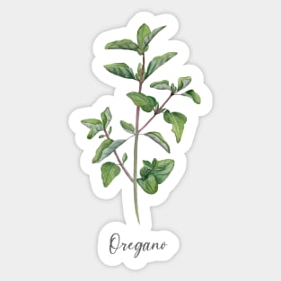 Oregano herb art. Sticker